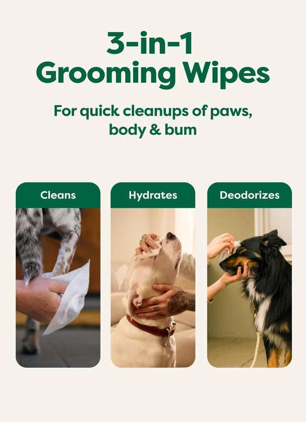 Lavender Paw and Body Wipes