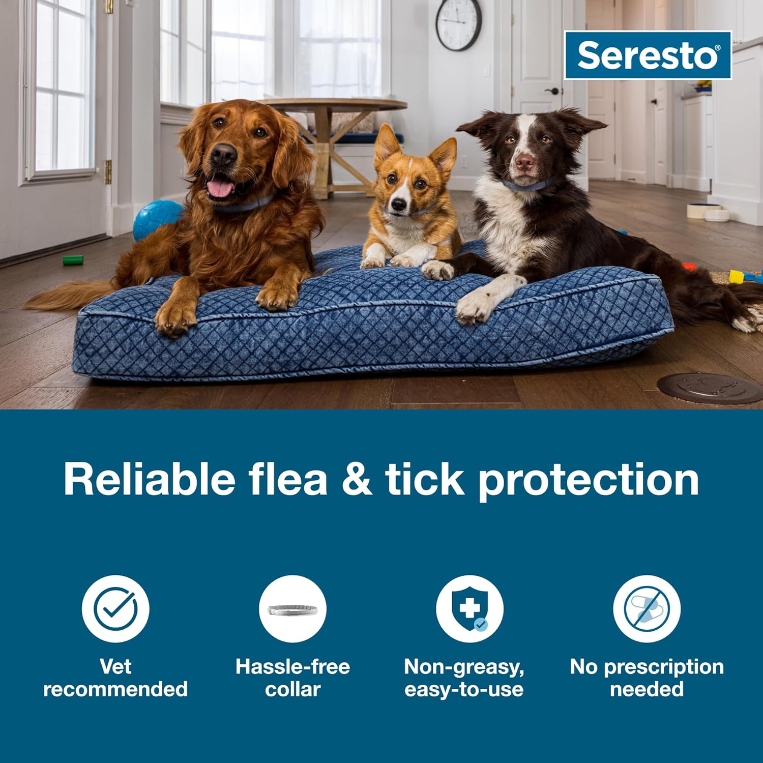 Guardian Pet Flea Tick Collar