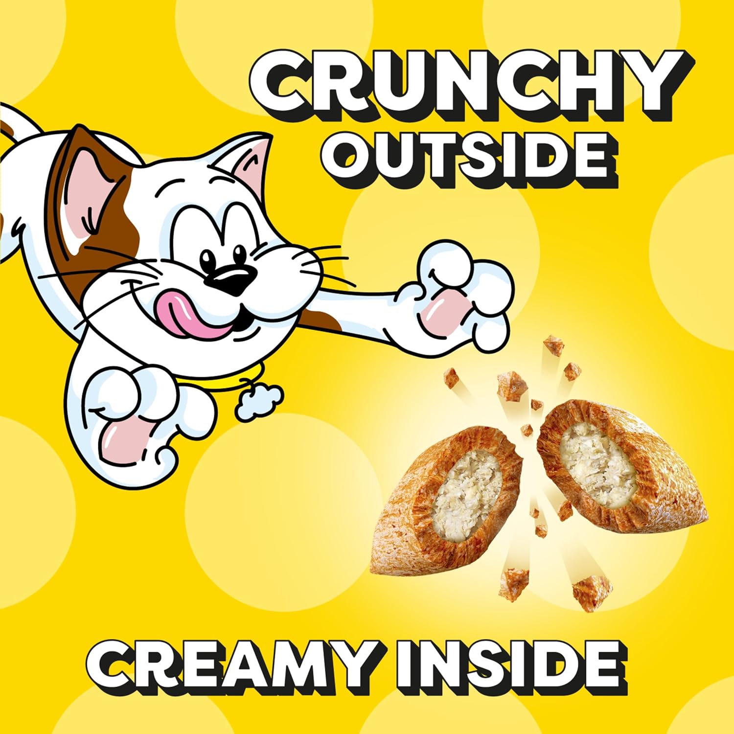Crunchy & Soft Chicken Cat Treats