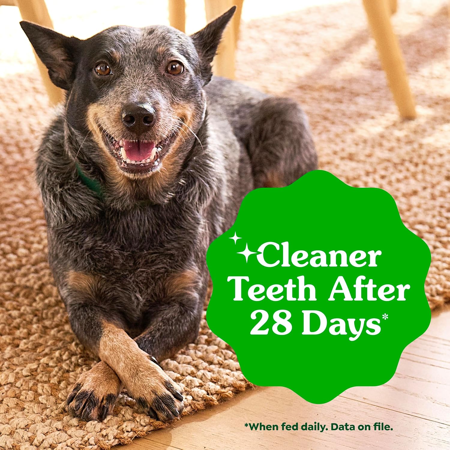 FreshPaws Natural Teenie Dental Chews Original