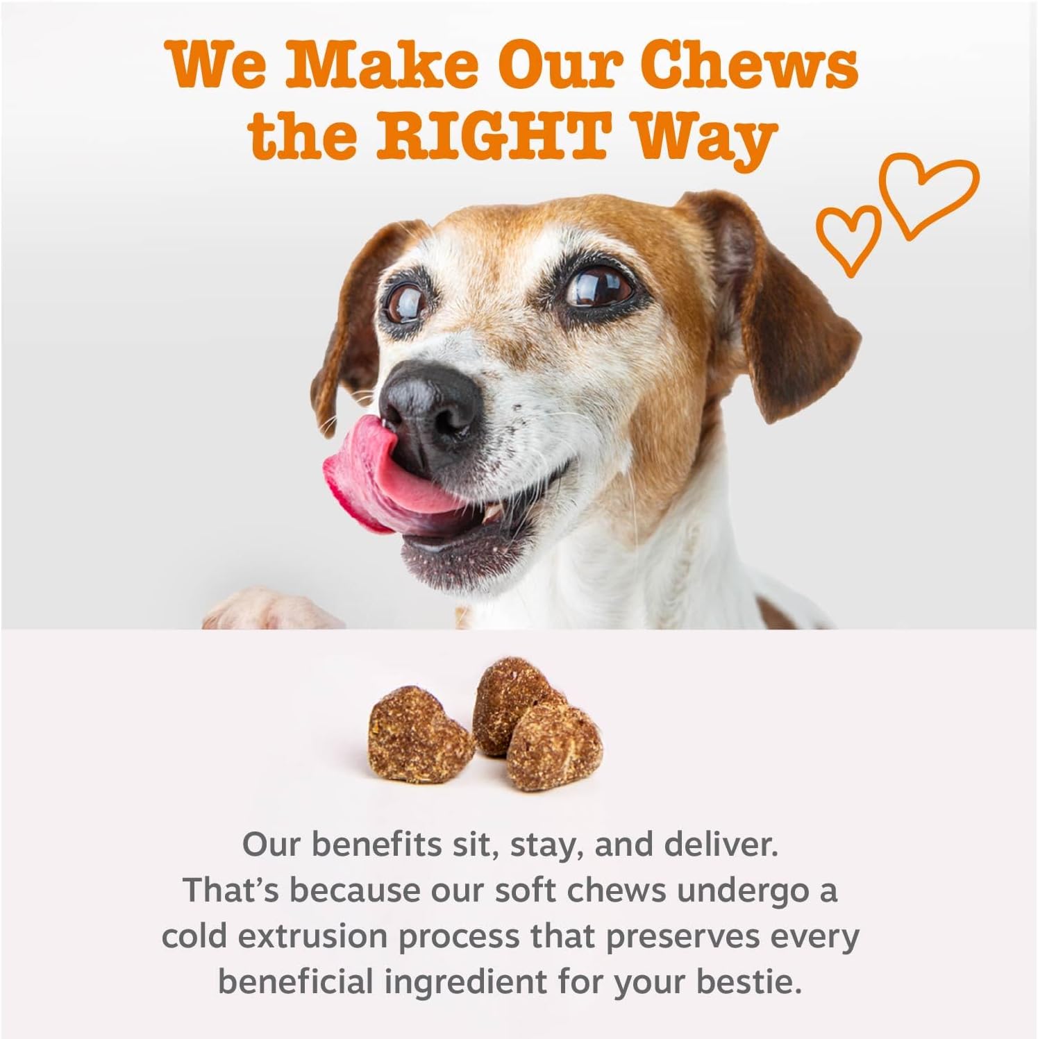 CalmGuard Allergy Chews